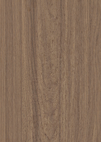 俏天下板材产品系列